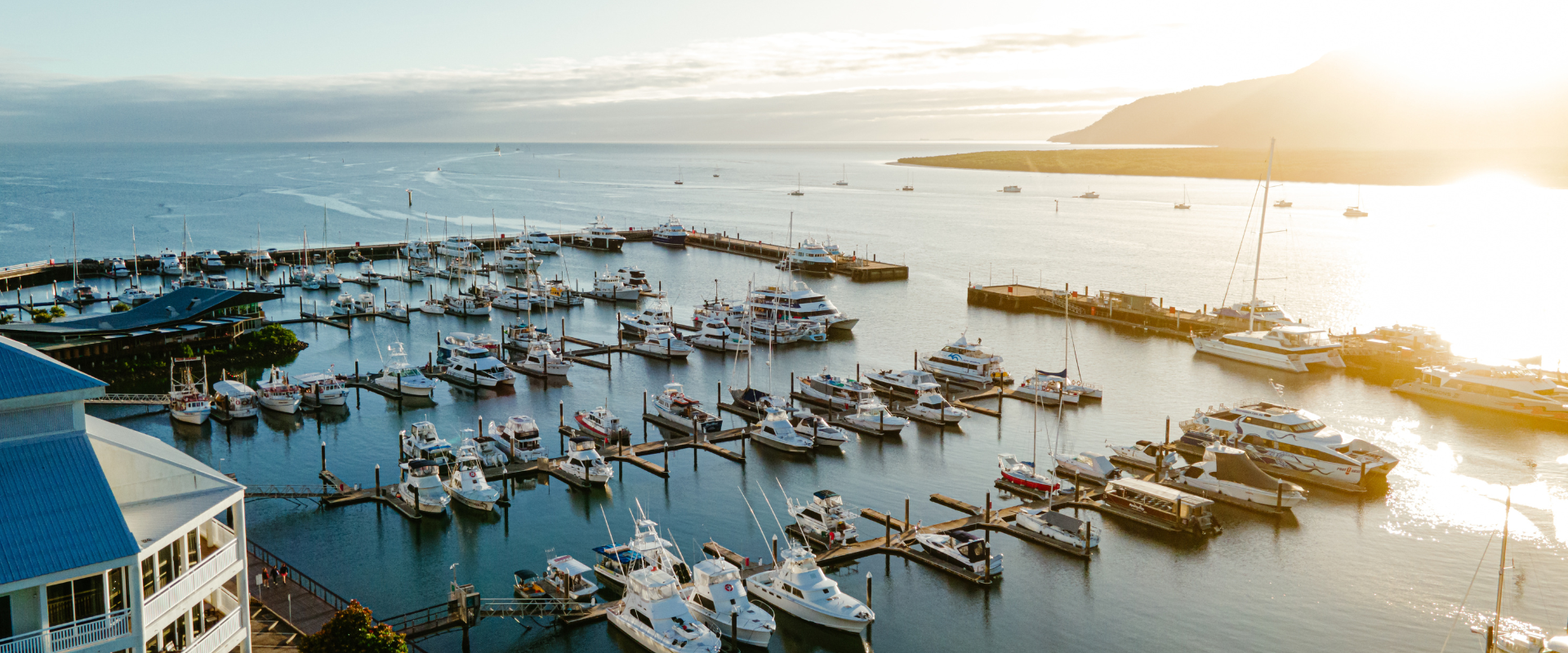 Yalangoch mushuklar bilan fohishalarning fotosuratlari